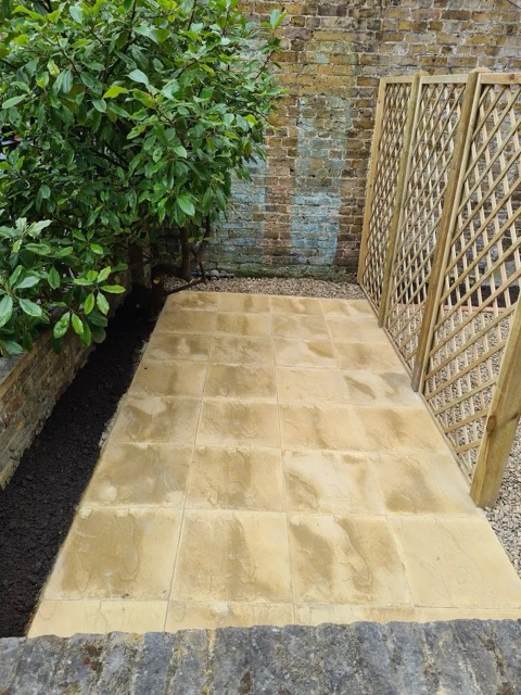 Before and After Picture